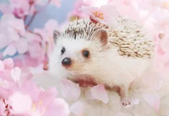 Flash Sale Beverly Jigsaw Puzzle P33-181 Azuki The Hedgehog (300 Pieces)