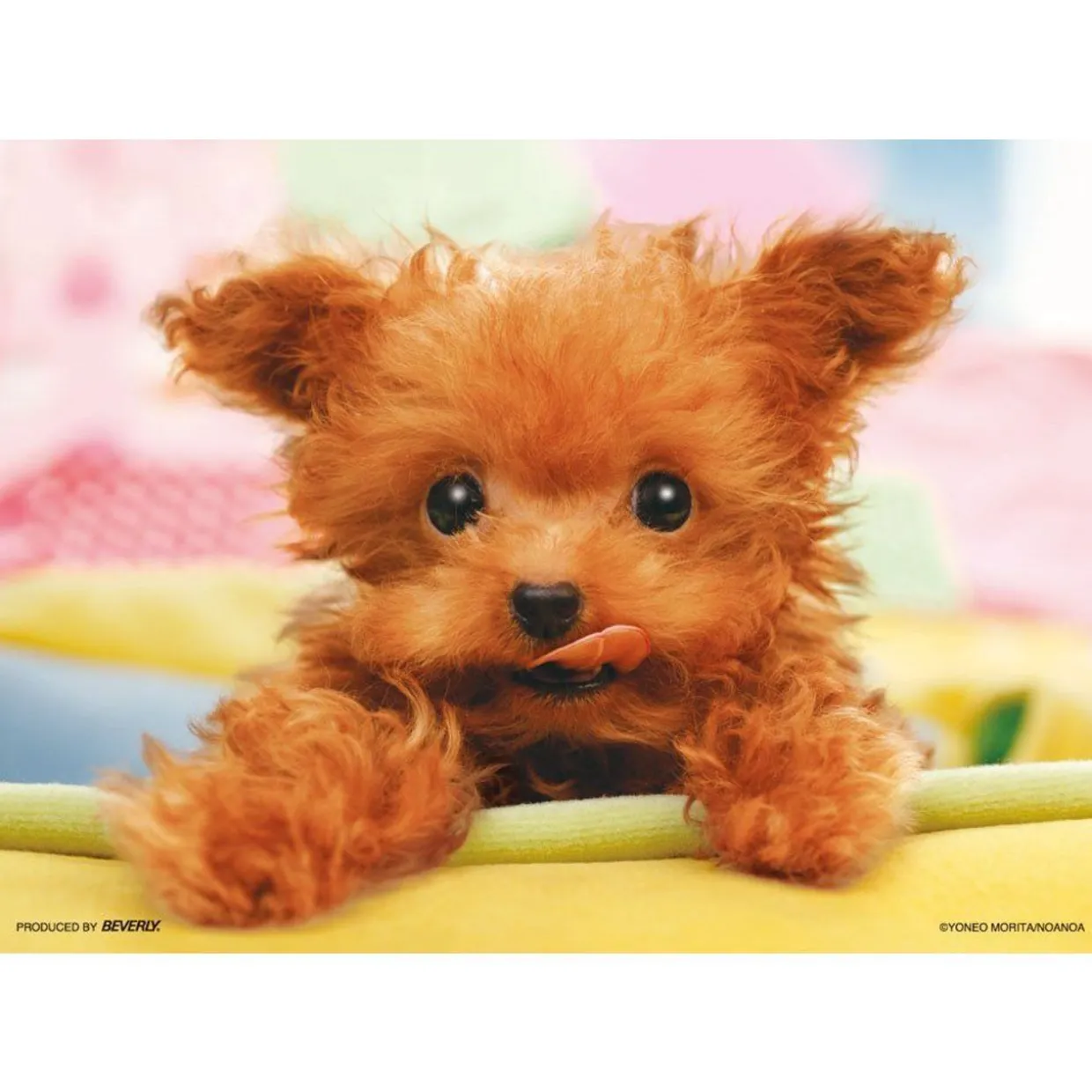 Online Beverly Jigsaw Puzzle P64-101 Dog I Am Hungry (108 Pieces)