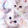 Shop Beverly Jigsaw Puzzle P108-819 Pretty Pet Series Cat (108 Pieces)