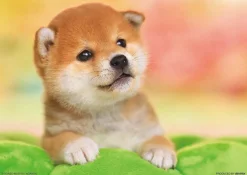 Discount Beverly Jigsaw Puzzle P108-839 Shiba Puppy (108 Pieces)