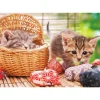Discount Beverly Jigsaw Puzzle P64-104 Sleepy Cat (108 Pieces)