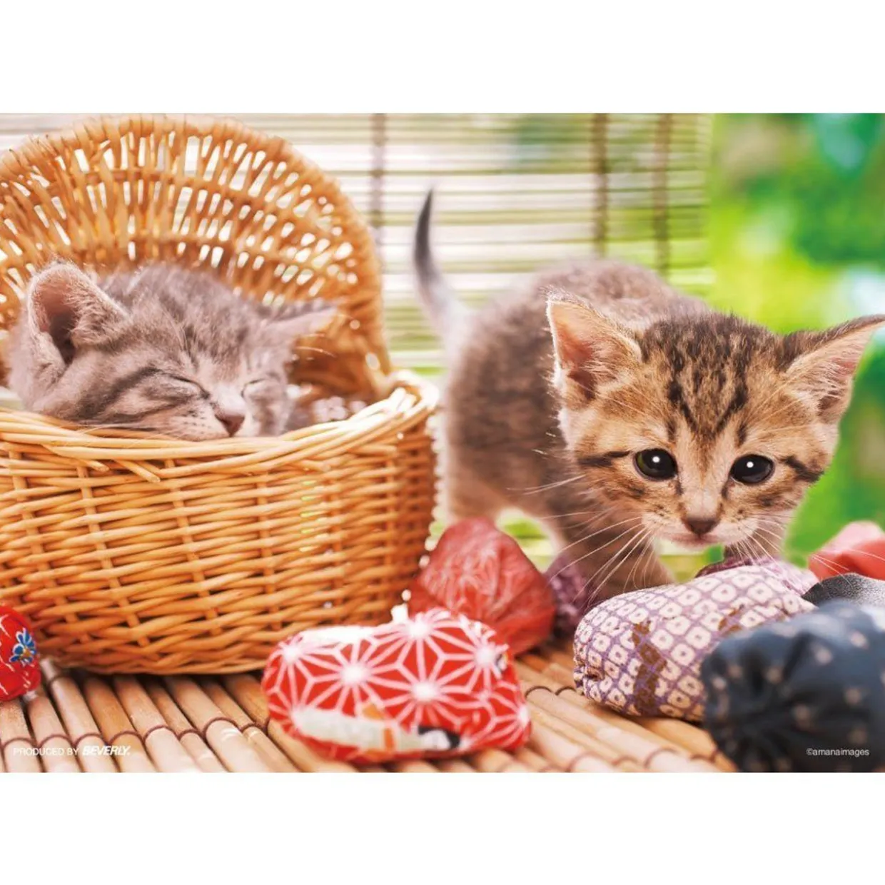 Discount Beverly Jigsaw Puzzle P64-104 Sleepy Cat (108 Pieces)