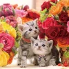 Cheap Beverly P66-160 Jigsaw Puzzle Kittens Surrounded By Flowers (600 Pieces)