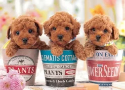 Sale Beverly P66-225 Jigsaw Puzzle Puppies In Planters (600 Pieces)