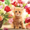 Hot Beverly P33-190 Jigsaw Puzzle Tulips And A Kitten (300 Pieces)