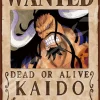 Ensky 208-074 Jigsaw Puzzle One Piece Kaido Wanted Poster (208 Pieces) Best Sale