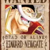 Ensky 208-075 Jigsaw Puzzle One Piece Edward Newgate Wanted Poster (208 Pieces) Flash Sale
