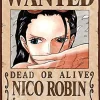 Ensky Jigsaw Puzzle 208-040 Wanted Poster One Piece Nico Robin (208 Pieces) Outlet