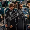 Ensky 1000T-321 Jigsaw Puzzle Harry Potter Newt & Dumbledore (1000 Pieces) Flash Sale