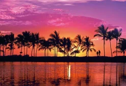 Epoch 79-370 Jigsaw Puzzle Big Island Sunset Hawaii Usa (450 S-Pieces) Cheap