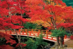 Epoch Jigsaw Puzzle 23-597 Autumn Leaves Momijidani Park Miyajima Hiroshima Japan (2016 S-Pieces) Sale
