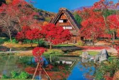Epoch Jigsaw Puzzle 10-812 Autumn In Shirakawa-Go Gifu Japan (1000 Pieces) Store