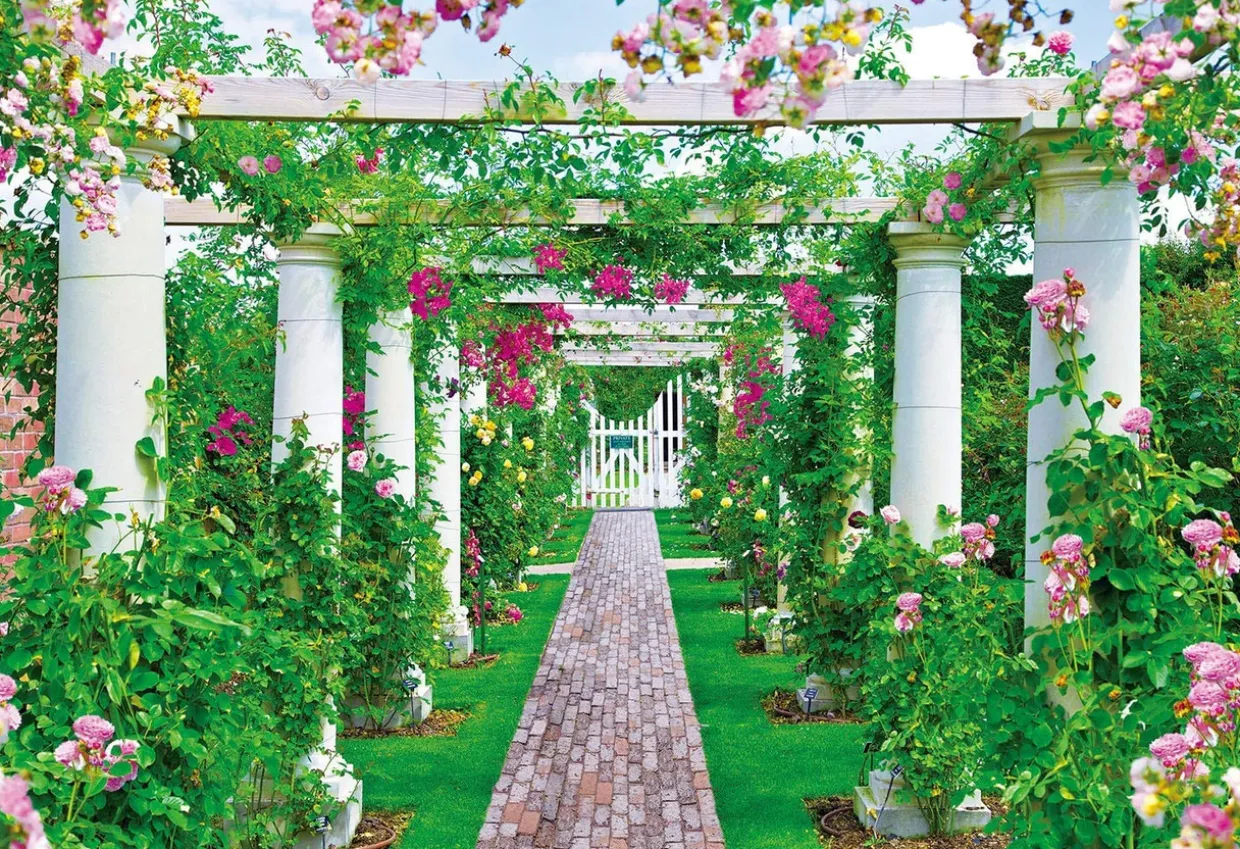 Epoch Jigsaw Puzzle 25-185 Beautiful English Rose Garden (300 Pieces) Clearance