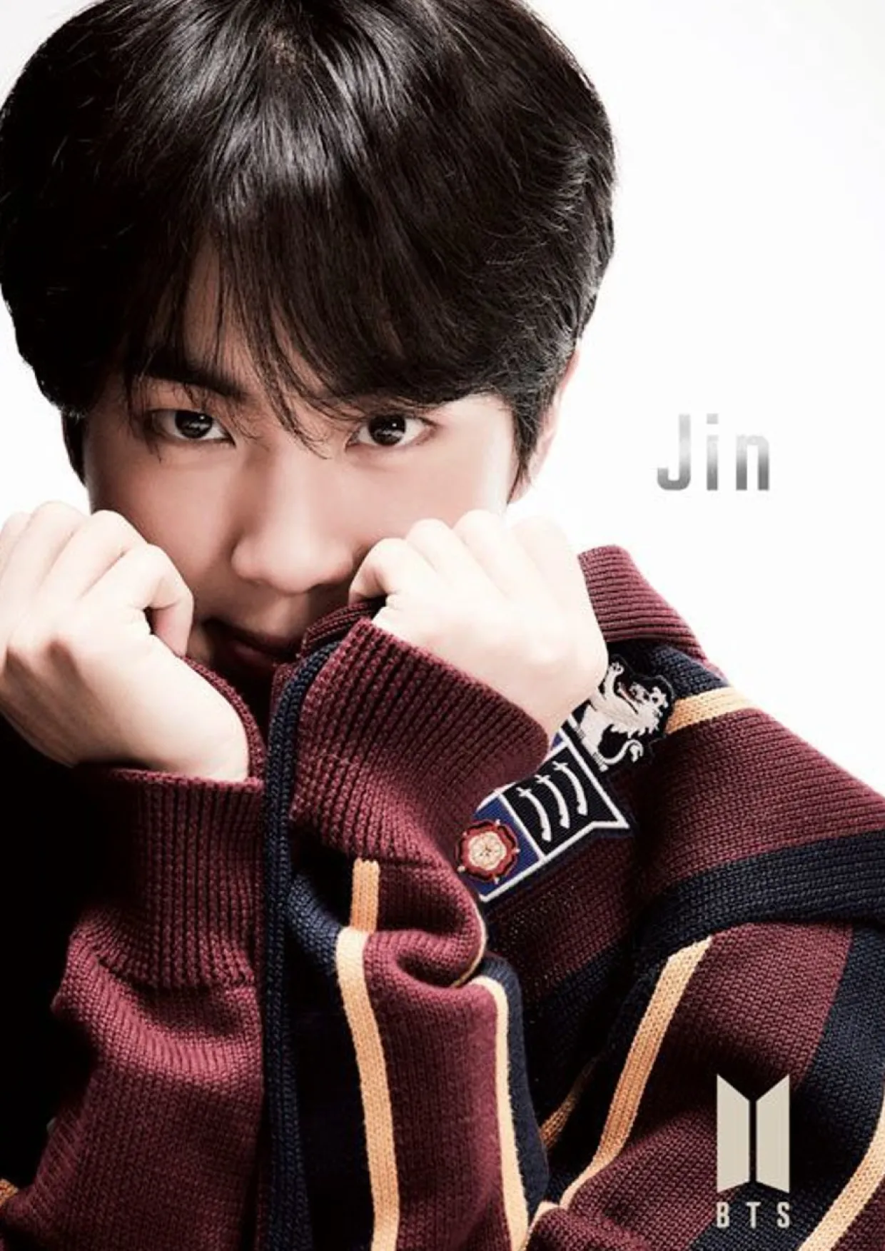 Epoch Jigsaw Puzzle 41-302 Bts (Bangtan Boys) Map Of The Soul: 7 -Jin- (108 Pieces) Hot