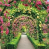 Epoch Jigsaw Puzzle 23-601 Butchart Gardens Flower Tunnel (2016 S-Pieces) Discount