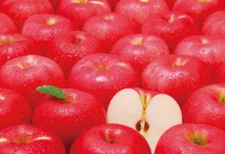 Epoch Jigsaw Puzzle 79-363 Challenge From Mr.Puzzle -Challenge From Apple- (1053 S-Pieces) Discount