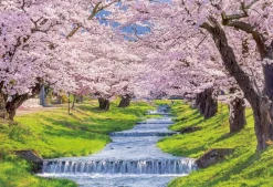 Epoch Jigsaw Puzzle 25-177 Cherry Blossom, Kannonjigawa, Fukushima (300 Pieces) Shop