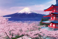 Epoch Jigsaw Puzzle 10-787 Cherry Blossom And Gojunoto In Yamanashi (1000 Pieces) Cheap