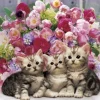 Epoch Jigsaw Puzzle 05-082 Floral Kitties (500 Pieces) Fashion