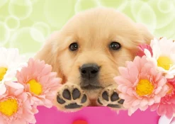Epoch Jigsaw Puzzle 01-056 Golden Retriever With Flowers (108 Pieces) New