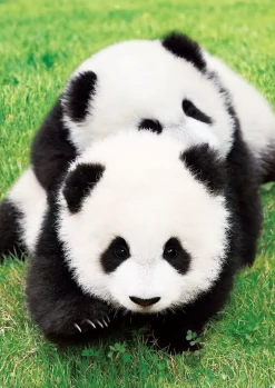 Epoch Jigsaw Puzzle 01-060 Good Friends Panda (108 Pieces) Store