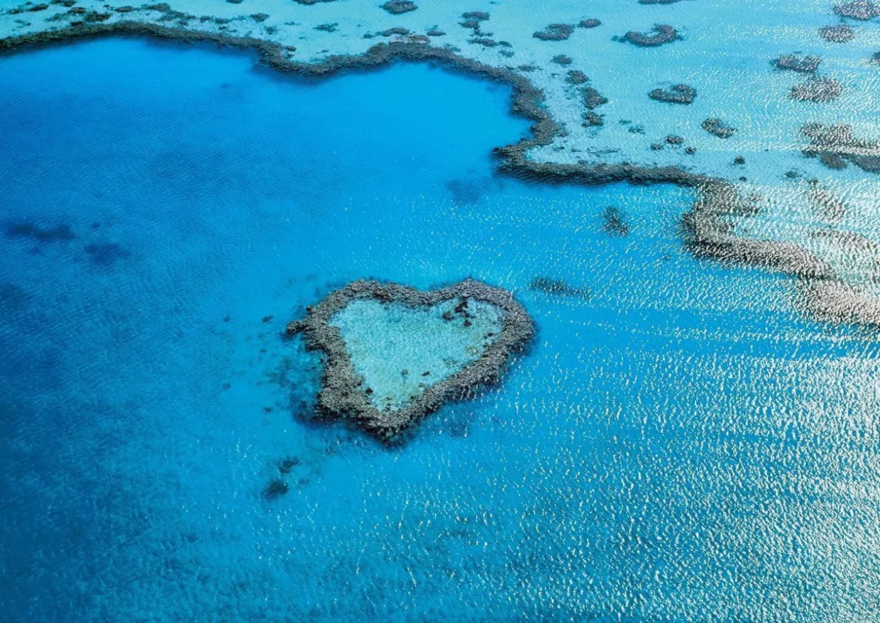 Epoch Jigsaw Puzzle 01-058 Great Barrier Reef Australia (108 Pieces) Fashion