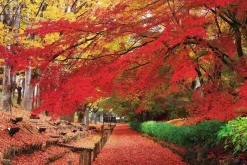 Epoch Jigsaw Puzzle 23-595 Japanese Scenery Ueda Castle Park Nagano (2016 S-Pieces) Cheap