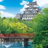 Epoch Jigsaw Puzzle 10-755 Japanese Scenery Himeji Castle (1000 Pieces) Discount