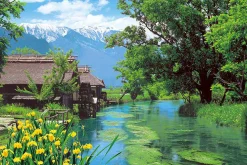 Epoch Jigsaw Puzzle 10-782 Japanese Scenery Watermill Nagano (1000 Pieces) Fashion