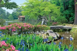 Epoch Jigsaw Puzzle 10-779 Japanese Scenery Kenroku-En Ishikawa (1000 Pieces) Outlet