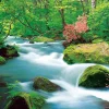 Epoch Jigsaw Puzzle 10-777 Japanese Scenery Oirase Keiryu River (1000 Pieces) Flash Sale
