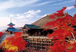 Epoch Jigsaw Puzzle 10-786 Japanese Landscape Colored Leaves Kiyomizu Temple In Kyoto (1000 Pieces) Cheap