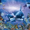 Epoch Jigsaw Puzzle 21-305 Lassen Brilliant Passage (3000 S-Pieces) Discount