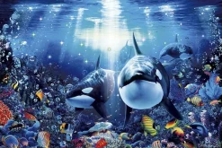 Epoch Jigsaw Puzzle 13-007 Lassen Orca Leaf (1000 Pieces) Clearance