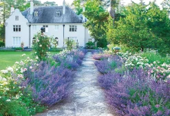 Epoch Jigsaw Puzzle 25-191 Lilac Blue Garden (300 Pieces) Cheap