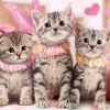 Epoch Jigsaw Puzzle 26-804 Lovely Kitten (100 Pcs) Outlet