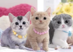 Epoch Jigsaw Puzzle 05-096 Lovely Cat (500 Pieces) Flash Sale