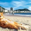 Epoch Jigsaw Puzzle 03-052 Mitsuaki Iwago's Cat Puzzle King Of The Beach (108 Pieces) Sale