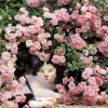 Epoch Jigsaw Puzzle 26-305 Mitsuaki Iwago's Cat Puzzle Mom's Rest (300 Pieces) Sale