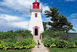 Epoch Jigsaw Puzzle 26-303 Mitsuaki Iwago's Cat Puzzle Small Lighthouse (300 Pieces) Clearance