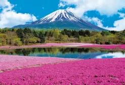 Epoch Jigsaw Puzzle 31-002 Mt. Fuji Moss Phlox Pink (1053 S-Pieces) Fashion