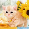 Epoch Jigsaw Puzzle 01-057 Munchkin Kitty Cat (108 Pieces) Shop