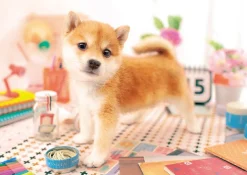 Epoch Jigsaw Puzzle 01-065 Pet Dog Shiba Inu (108 Pieces) Sale