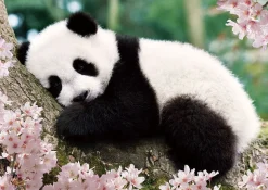 Epoch Jigsaw Puzzle 01-061 Sleepy Panda (108 Pieces) Sale