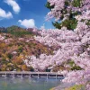 Epoch Jigsaw Puzzle 05-116 Togetsu-Kyo Bridge, Cherry Blossom, Kyoto (500 Pieces) Hot