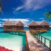 Epoch Jigsaw Puzzle 31-004 Tropical Cottage (1053 S-Pieces) Hot