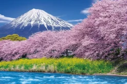Epoch Jigsaw Puzzle 10-804 Urui River Ryugambuchi, Mount Fuji, Shizuoka, Japan (1000 Pieces) Cheap