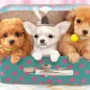 Epoch Jigsaw Puzzle 26-805 Wan-Wan Puppy Trio(100 Pcs) Sale