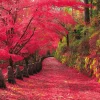 Epoch Jigsaw Puzzle Autumn Leaves Yoshino Mountain In Nara (2016 S-Pieces) Sale