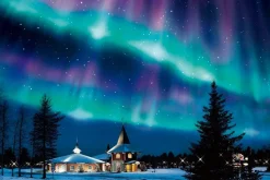 Epoch 12-513S Jigsaw Puzzle Sparkling Aurora Night Finland (Glow In The Dark) (1000 Pieces) Sale